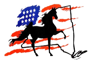 A picture of black horse in front of a Unites States flag