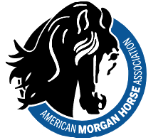 A photo of a black horse and blue circle for the American Morgan Horse Association logo